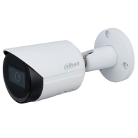DH-IPC-HFW2431SP-S-S2